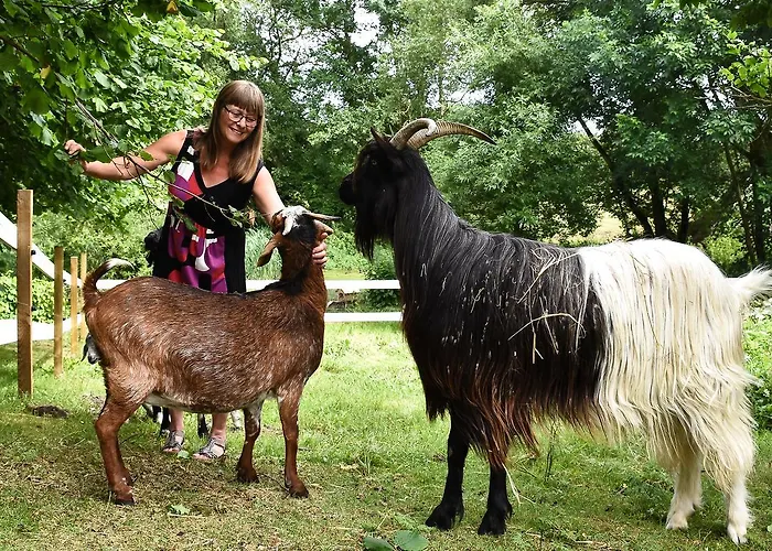 Avernako Hotel Fåborg